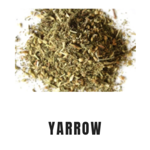 Yarrow