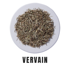 Vervain