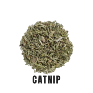 Catnip