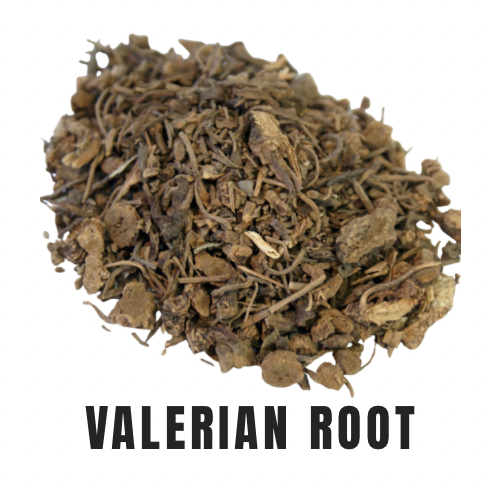 Valerian Root