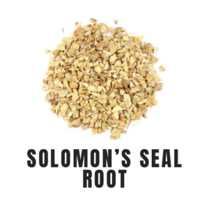 Solomon’s Seal Root