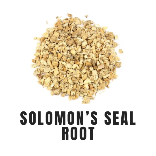 Solomon’s Seal Root