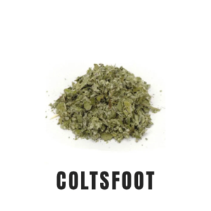 Coltsfoot