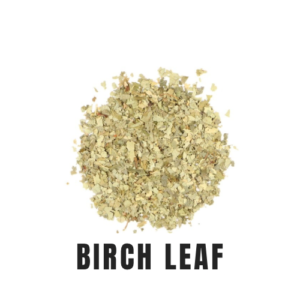 Birch Leaf