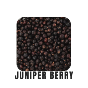 Juniper Berry