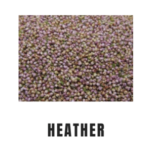 Heather