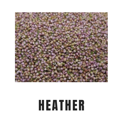 Heather
