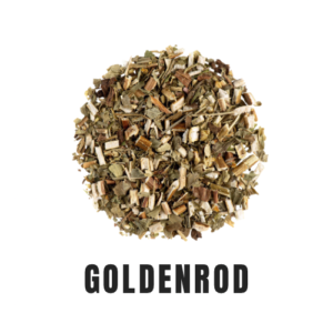 Goldenrod