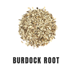 Burdock Root