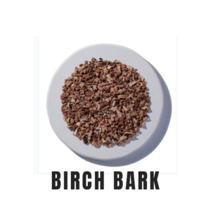 Birch Bark