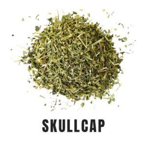 Skullcap